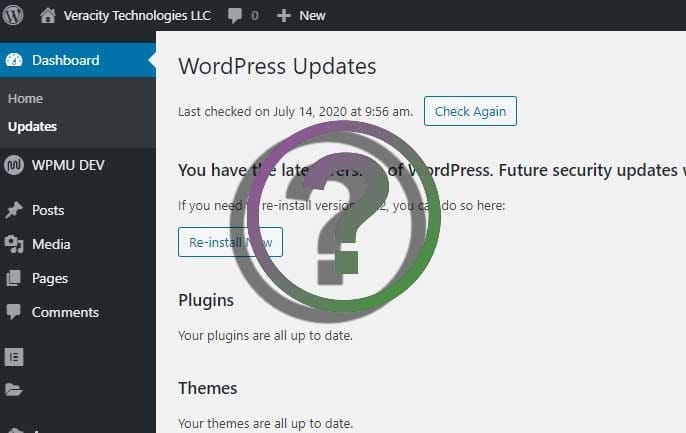 How Often Do You Update WordPress?