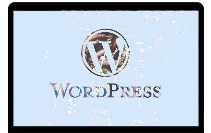 WordPress Vulnerabilities